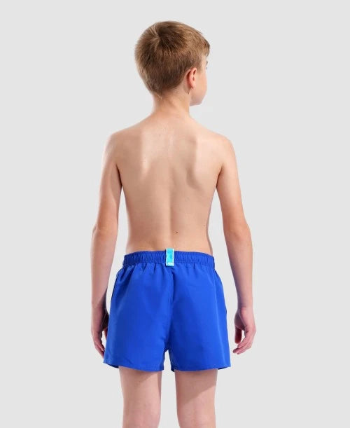 Arena Boys' Logo Beach Short R