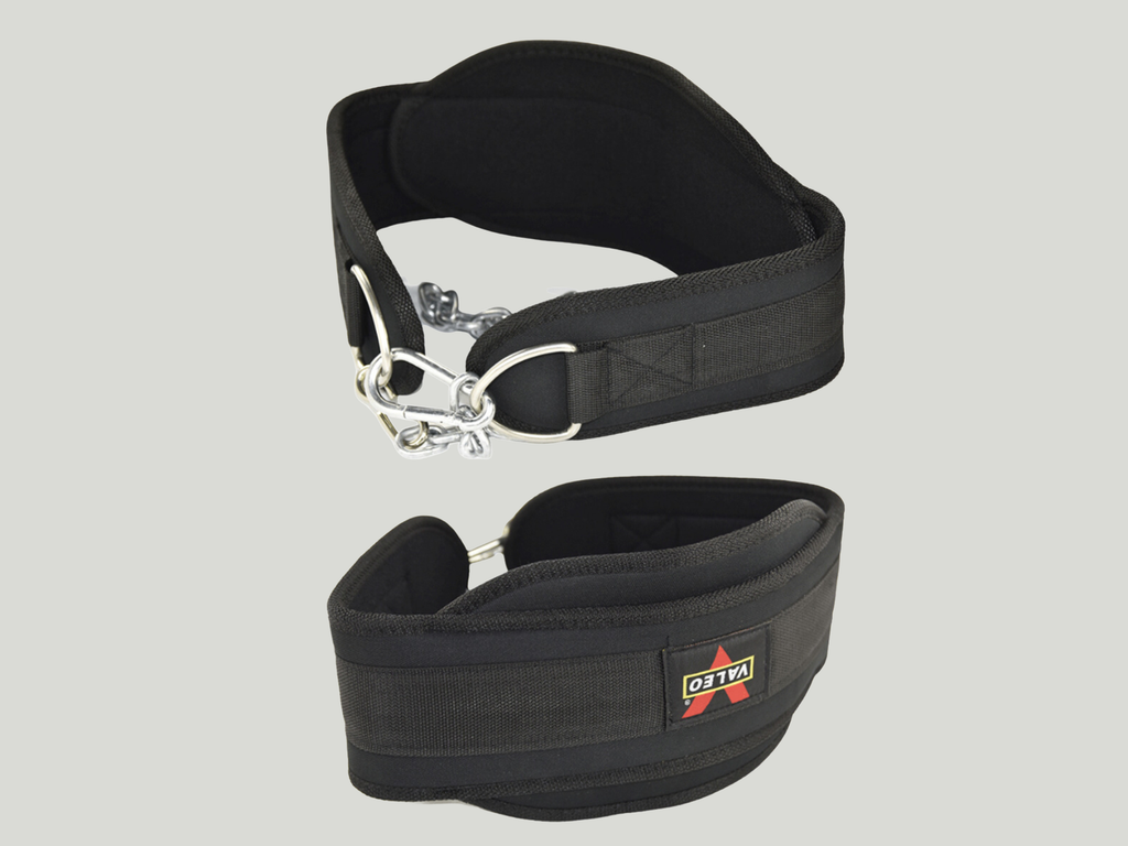 Valeo Dip Belt