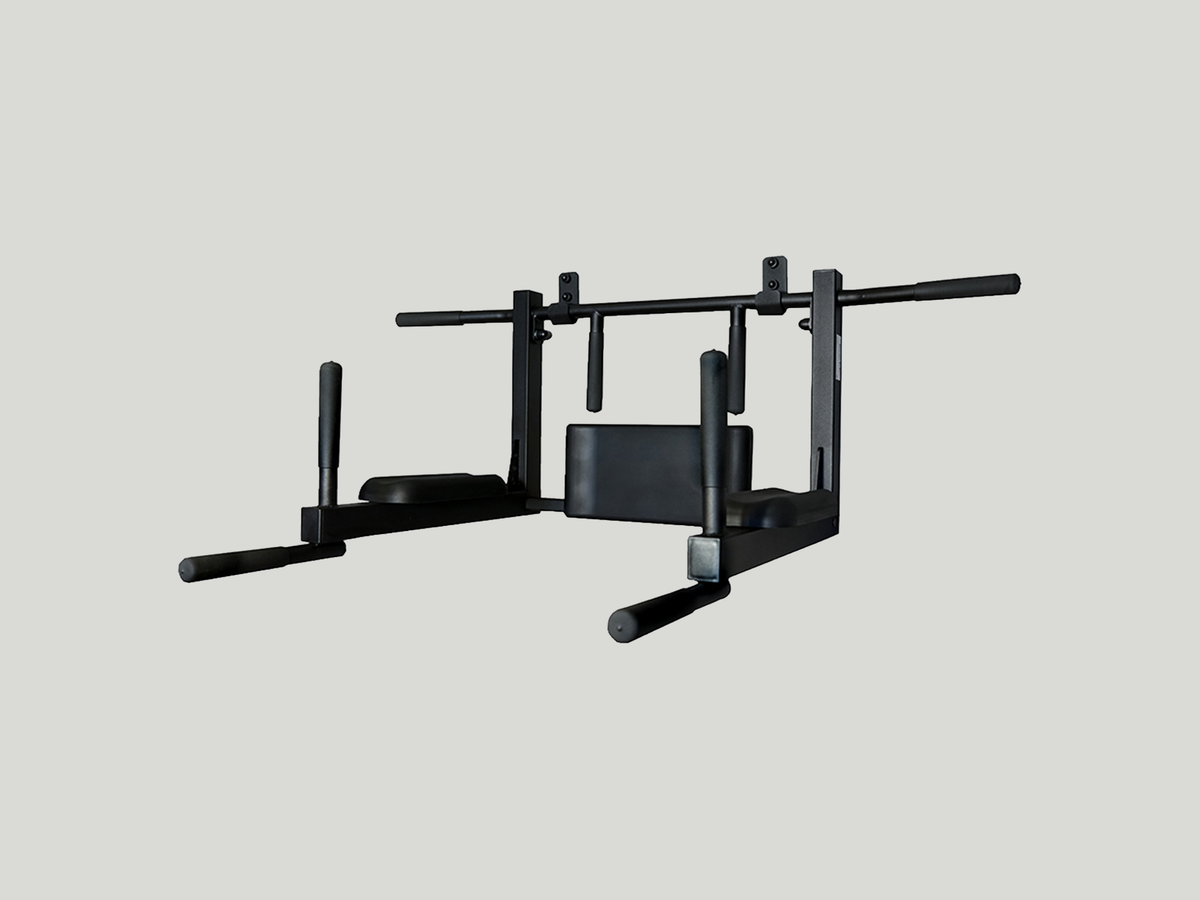 2-in-1 Wall-Mounted Pull-Up & Dip Station